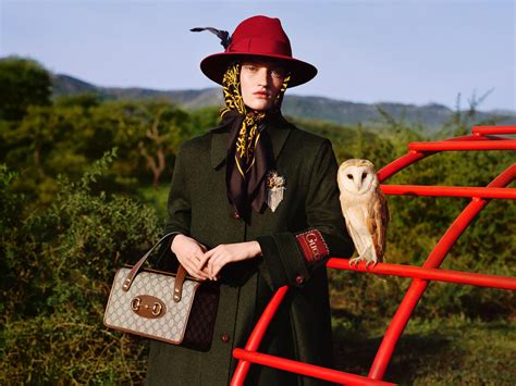 gucci campagne pubblicitarie dino|Gucci Stories .